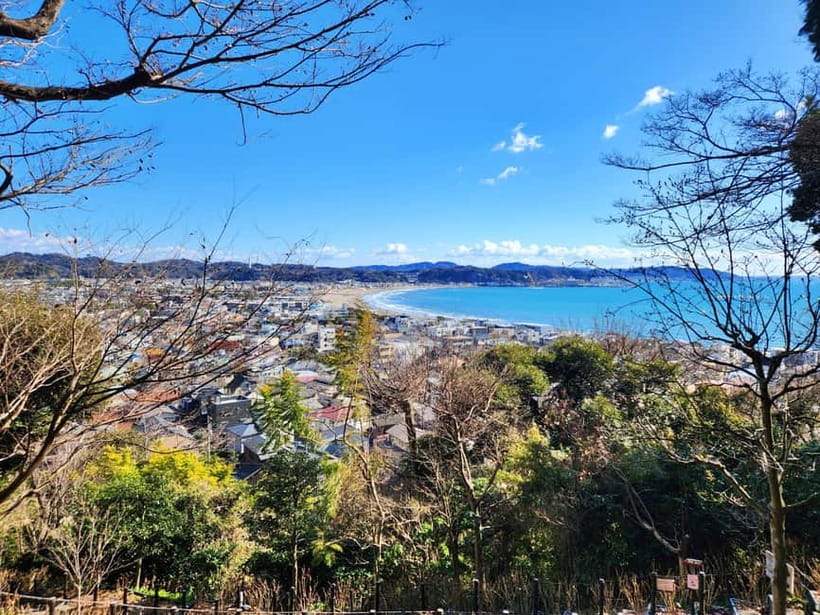 Kamakura Private & Customizable Tour - All-in-One Experience - Who should book this private Kamakura tour?