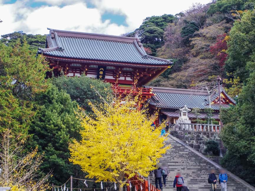 Kamakura Private & Customized Half-Day Tour with Local Guide - Key points at a glance
