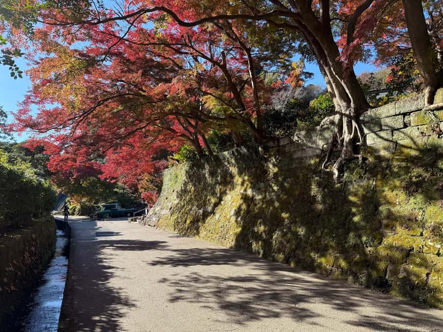 Kamakura Private & Customized Half-Day Tour with Local Guide - Hase-dera, gardens, and the seaside option