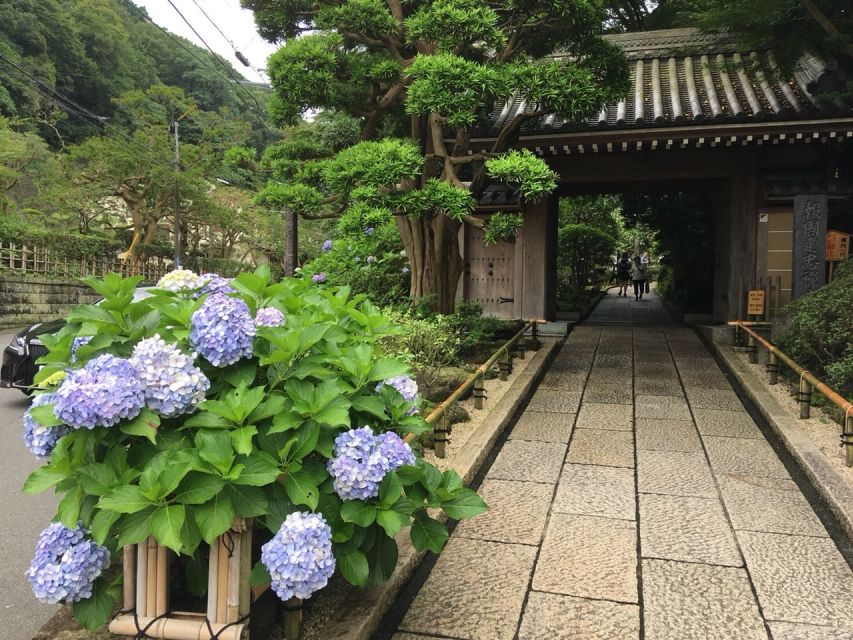 Kamakura: Private History and Heritage Tour by Rickshaw - Why a rickshaw works well in Kamakura