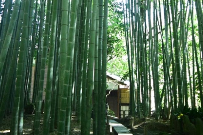 Kamakura Private Tour by Public Transportation - Komachidori for food and local shopping