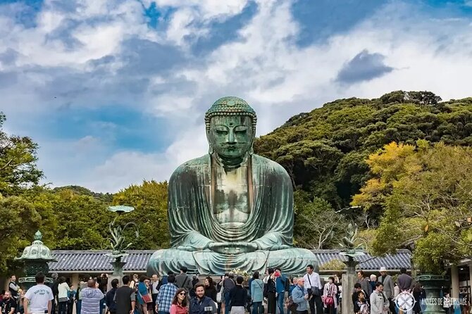 Kamakura Private Tour Great Buddha & Enoshima with English guide - Key points to know before booking
