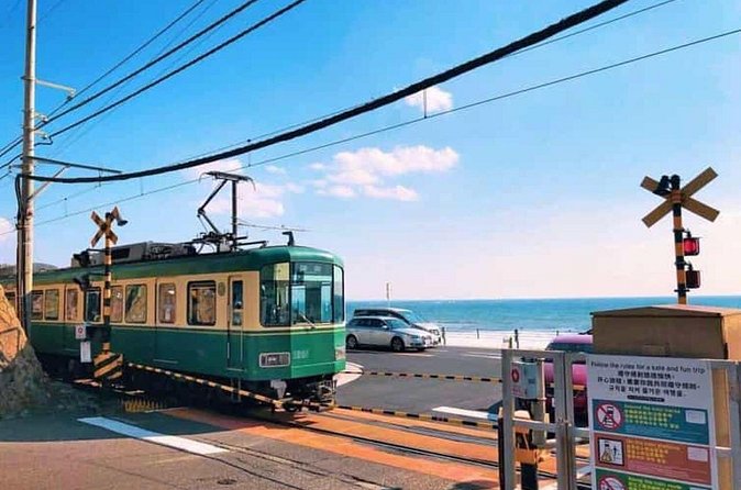 Kamakura Private Tour Great Buddha & Enoshima with English guide - Yokohama Chinatown adds food and city life