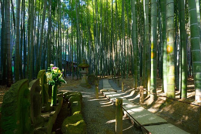Kamakura Private Tour Great Buddha & Enoshima with English guide