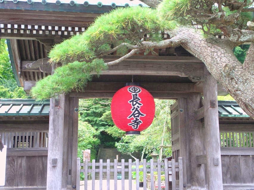 Kamakura Temples Private Guided Tour from Tokyo - Lunch and Komachi Street