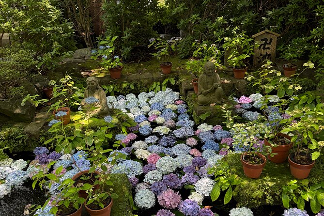 Kamakura Tours Half Day or Full Day Tours with a local guide. - Tsurugaoka Hachimangu, Kamakura’s spiritual center
