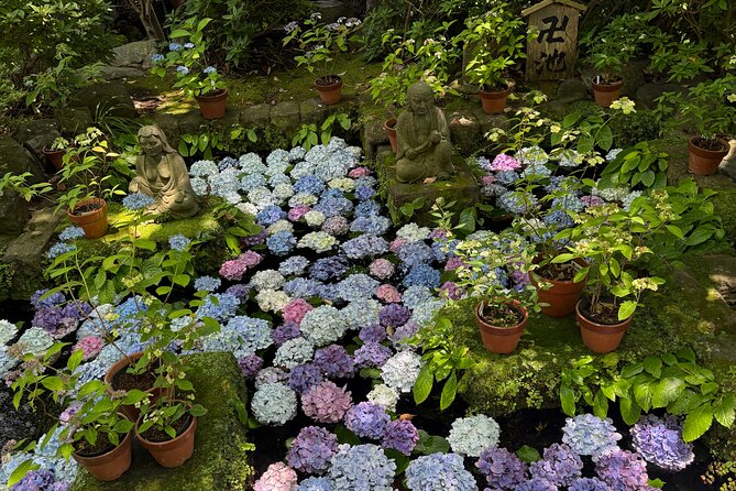 Kamakura Tours Half Day or Full Day Tours with a local guide. - What the $70 price really covers