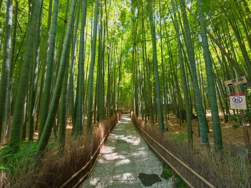 Kamakura Zen: Great Buddha, Nature, Bamboo & Samurai Culture - Kotoku-in and Kamakura’s Great Buddha
