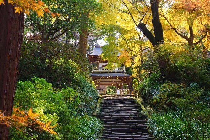 Kamakura Zen Temples and Gardens Private Trip with Government-Licensed Guide - Key points to know before booking