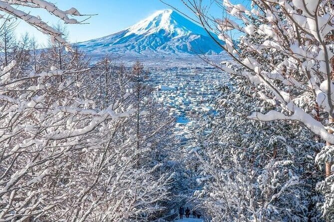 Kamkura: Private Zazen, Matcha at Bamboo Temple & Mindful Cuisine - Timing, trains, and the real value of $170