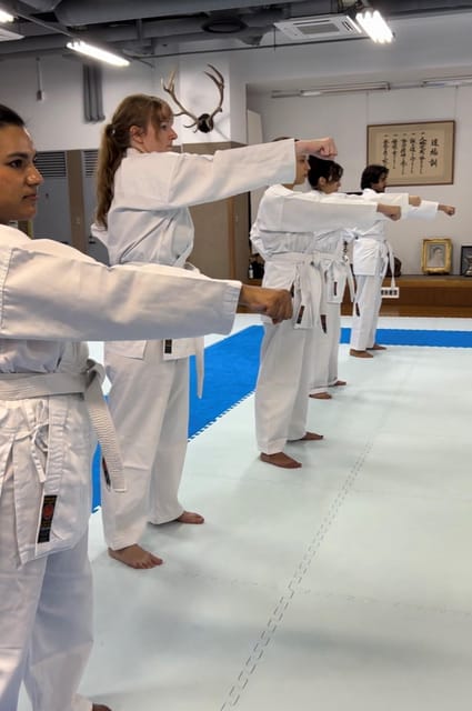 Karate Experience with the Shotokan Karate-do Instructor - Promise Kumite and Controlled Practice