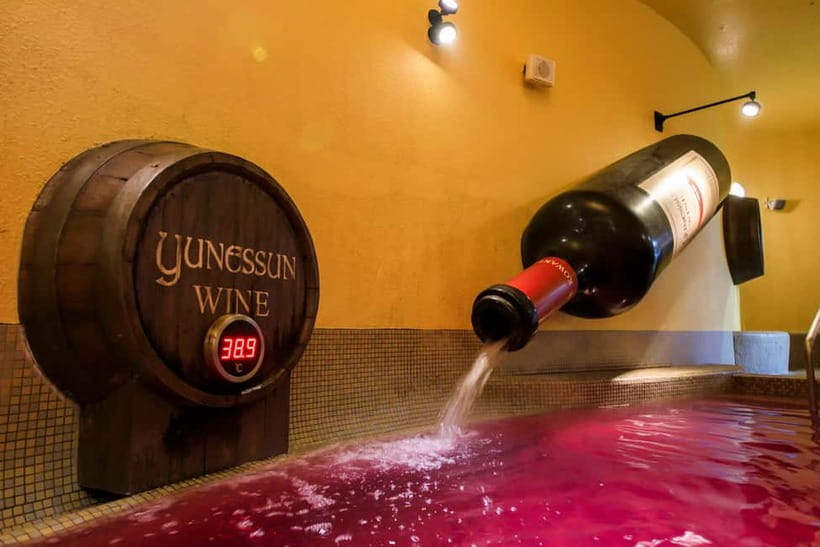 Kowakien Yunessun Hot Springs Entry Ticket - Hakone bathing with a playful twist