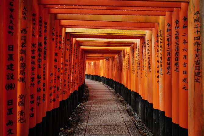 Kyoto Early Bird Tour Tokyo Round or One Way Shinkansen - Why this Tokyo to Kyoto day trip works