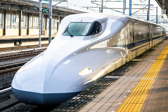 Kyoto Early Bird Tour Tokyo Round or One Way Shinkansen - The Shinkansen ride from Tokyo Station