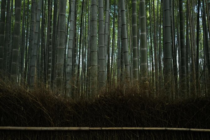 Kyoto Early Bird Tour Tokyo Round or One Way Shinkansen - Is $423.49 per person good value?