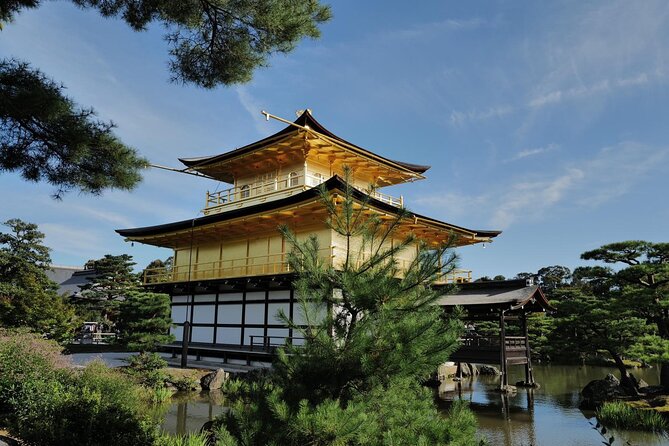 Kyoto Early Bird Tour Tokyo Round or One Way Shinkansen - Who should book this experience