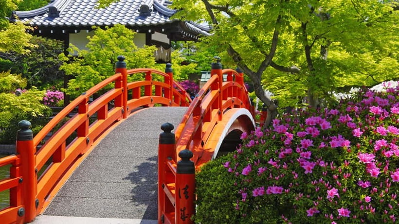 Kyoto: Nijo Castle World Heritage Guided Tour with Admission - How much value do you get for $40?
