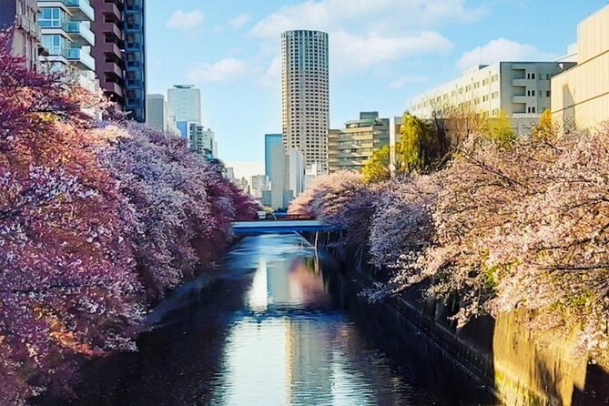 Licensed Guide Tokyo Meguro Cherry Blossom Walking Tour - Key points to know before booking