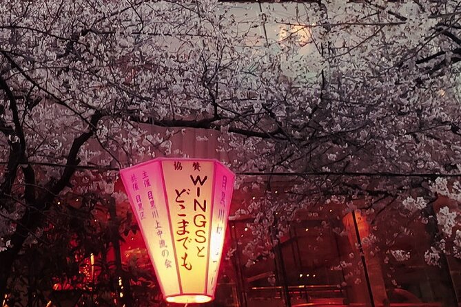 Licensed Guide Tokyo Meguro Cherry Blossom Walking Tour - Who will get the most from this Meguro walk