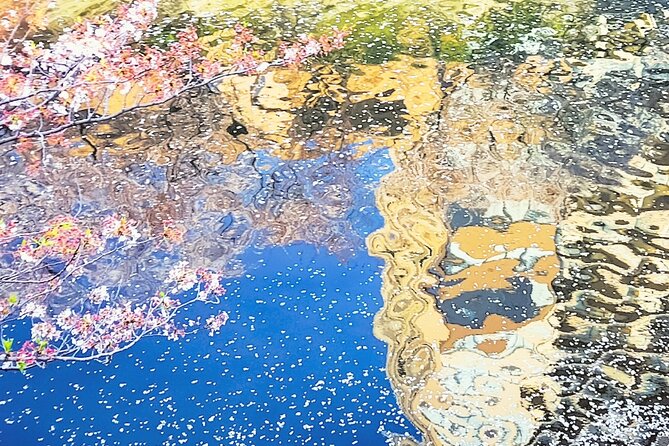 Licensed Guide Tokyo Meguro Cherry Blossom Walking Tour - FAQ