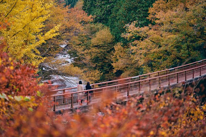 Little Adventure with Cycling in Tokyo No. 1 Crystal Clear River - Lunch beside the river