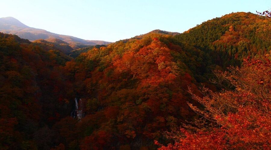Luxury Nikko Gateway;Private Guided tour - Price, group size, and what is not included