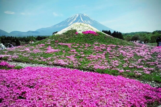 Majestic Mount Fuji: Exclusive Private Day Tour - Why a private Mount Fuji day trip makes sense