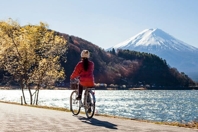 Majestic Mount Fuji: Exclusive Private Day Tour - Arakurayama Sengen Park and the classic Fuji view