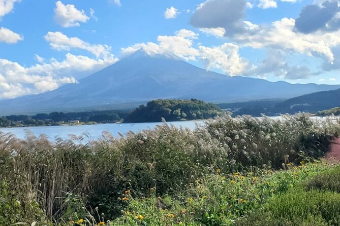 Majestic Mt. Fuji & Hakone Retreat –A Private Day Tour from Tokyo - What the private service includes and leaves out