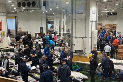 Morning Market Adventure: Toyosu & Tsukiji with Tuna Auction - Toyosu Market and the tuna auction