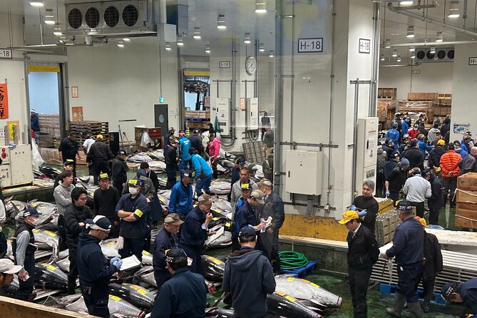 Morning Market Adventure: Toyosu & Tsukiji with Tuna Auction - Toyosu Market and the tuna auction