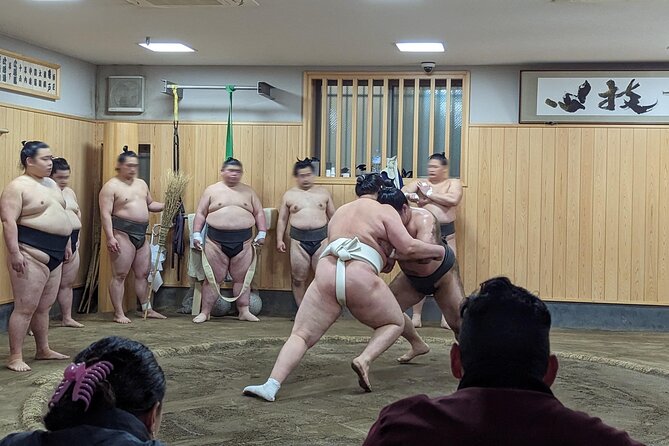 Morning Sumo Practice Viewing in Tokyo - Why morning sumo practice feels different from a tournament
