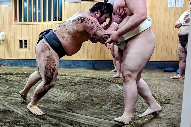 Morning Sumo Practice Viewing in Tokyo - Inside Naruto-beya for two hours of practice