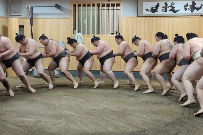 Morning Sumo Practice Viewing in Tokyo - Learning the moves, rituals, and people behind the sport