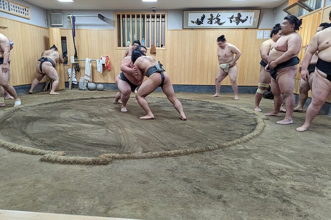 Morning Sumo Practice Viewing in Tokyo - Is $99.08 a fair price?