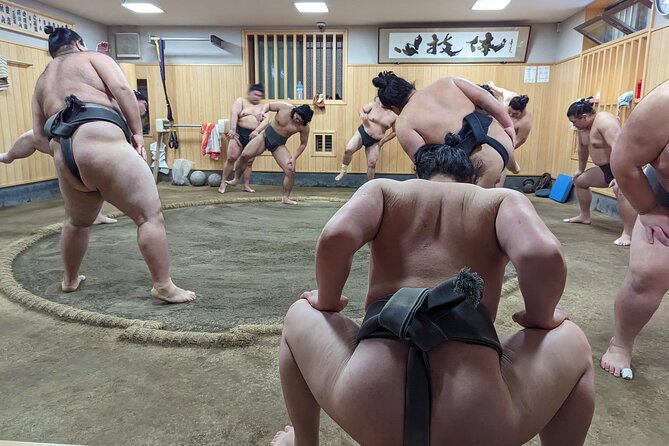Morning Sumo Practice Viewing in Tokyo - Meeting at Tokyo Skytree at 7:30 am