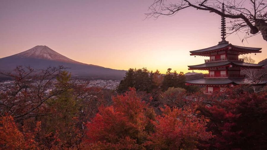 Mount Fuji 1-Day Trip: the Hottest Photography Tour - Oshino Hakkai’s eight clear springs