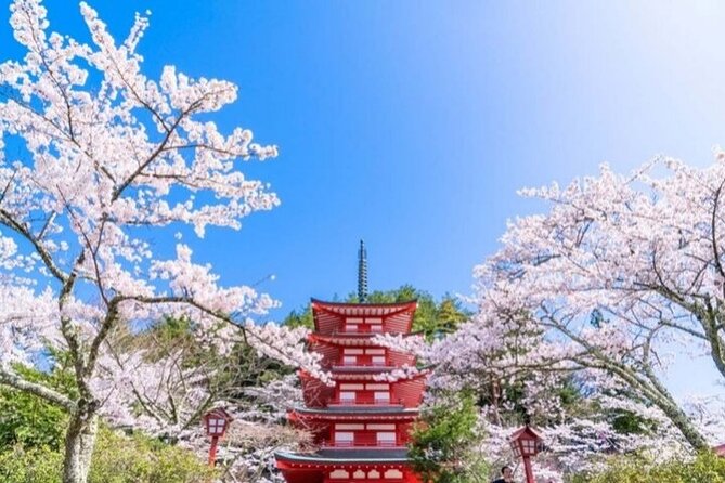Mount Fuji 5th Station, Arakurayama, Oshino Hakkai and Hot Spring - What this Mount Fuji day trip really offers