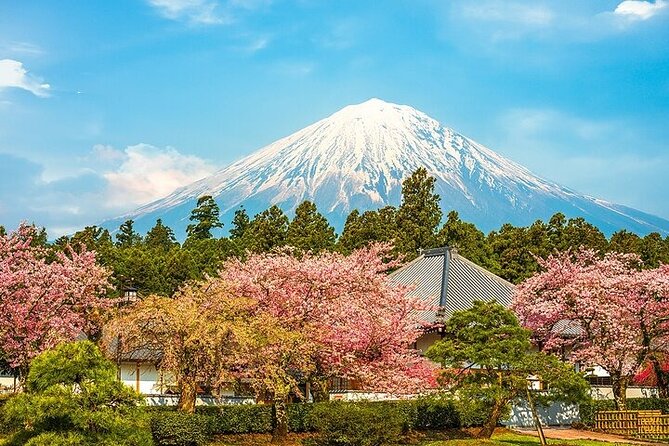 Mount Fuji 5th Station, Arakurayama, Oshino Hakkai and Hot Spring - Oshino Hakkai and its eight springs