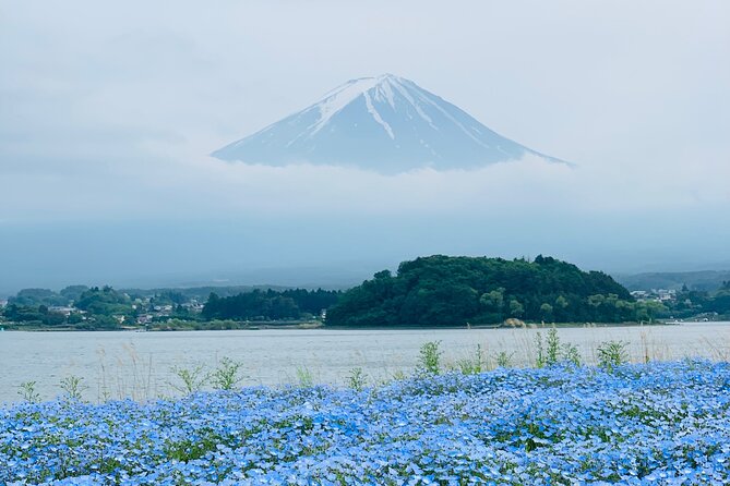 Mount Fuji Adventures Private English Tour With Hotel Pick Up - Lake Kawaguchi and Oishi Park