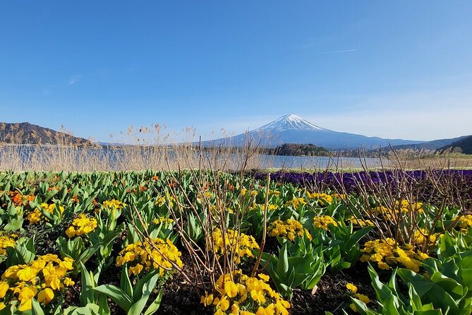 Mount Fuji Adventures Private English Tour With Hotel Pick Up - The driver makes or breaks the experience