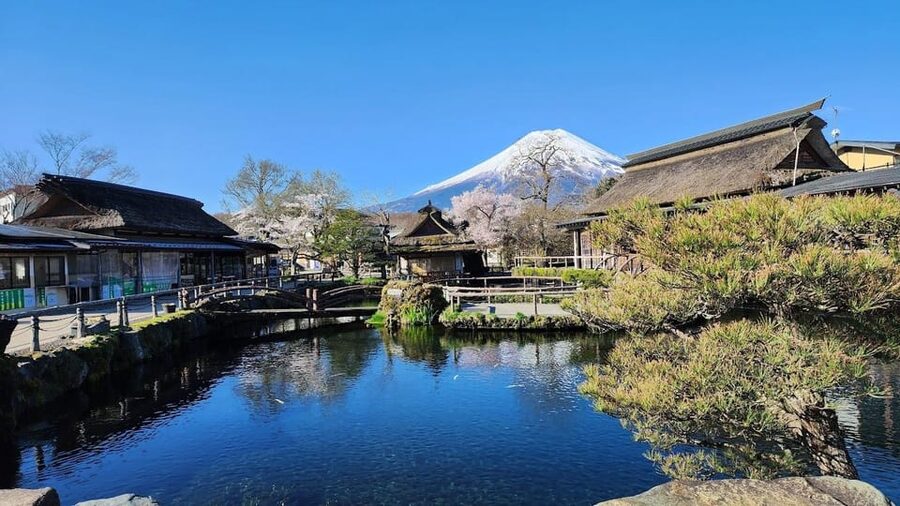 Mount Fuji and Hakone Day tour with English speaking Drivers - Key points to know before booking