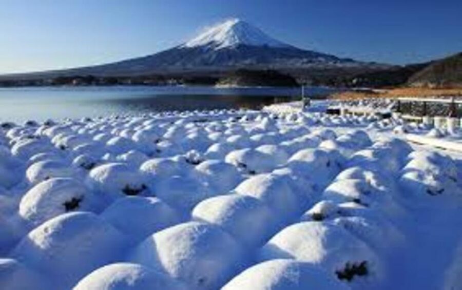 Mount Fuji and Hakone Day tour with English speaking Drivers - Why the private ride from Tokyo matters
