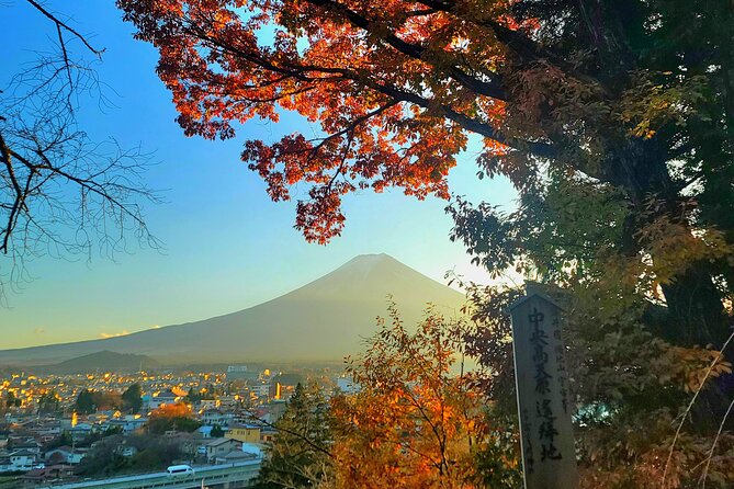 Mount fuji and Hakone Full day private sightseeing tour - Ropeway views and the Togendai stop