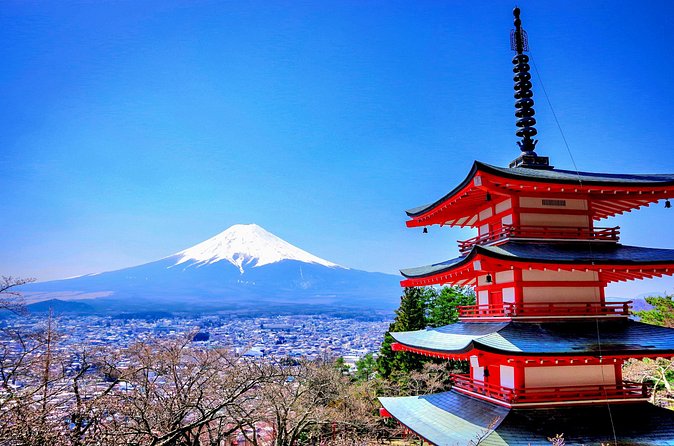 Mount fuji and Hakone Full day private sightseeing tour - The Hakone Open-Air Museum