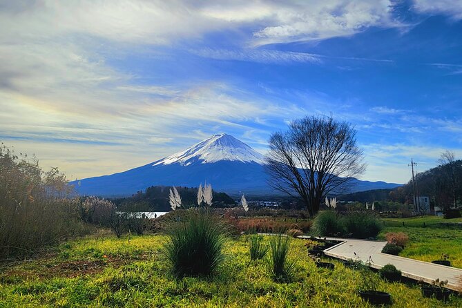Mount fuji and Hakone Full day private sightseeing tour - Saiko Iyashi no Sato Nemba’s old houses