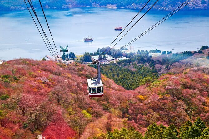 Mount Fuji and Hakone Private Day Trip by Car/Van - in English - Chureito Pagoda and the famous Fuji view