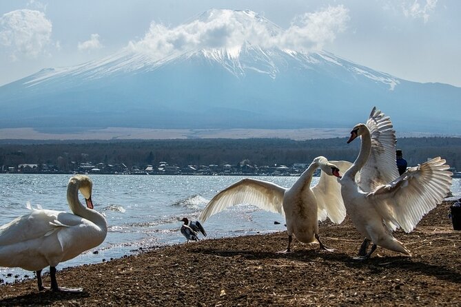 Mount Fuji and Hakone Private day trip from Tokyo - Hakone Shrine and the red Gate of Peace