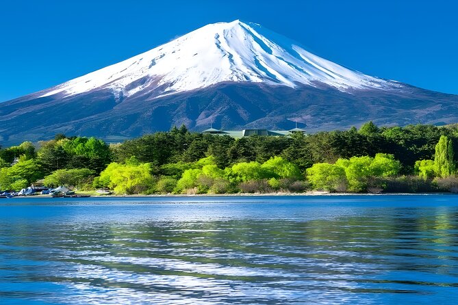 Mount Fuji and Hakone Private day trip from Tokyo - Why the private car changes the day