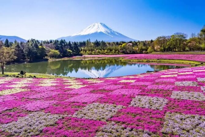 Mount Fuji and Hakone Private Tour by Car with Pickup from Tokyo - Key points to know before booking